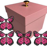 Pink Exploding Butterfly Gift Box With 4 Pink Monarch Wind Up Flying Butterflies from butterflyers.com