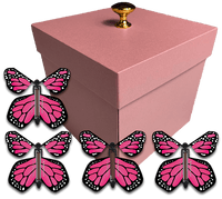
              Pink Exploding Gender Reveal Box With Pink Monarch Flying Butterflies From Butterflyers.com
            