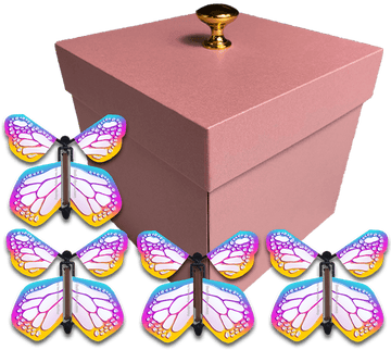 Fly Gift Box Surprise Flying Butterfly Gift Boxes – Butterflyers