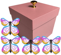 
              Pink Exploding Butterfly Gift Box With 4 Bismuth Color Wind Up Flying Butterflies from butterflyers.com
            