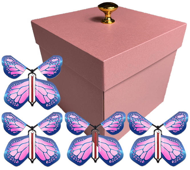 Pink Exploding Butterfly Gift Box With 4 Cobalt Pink Wind Up Flying Butterflies from butterflyers.com