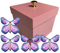 
              Pink Exploding Butterfly Gift Box With 4 Cobalt Pink Wind Up Flying Butterflies from butterflyers.com
            