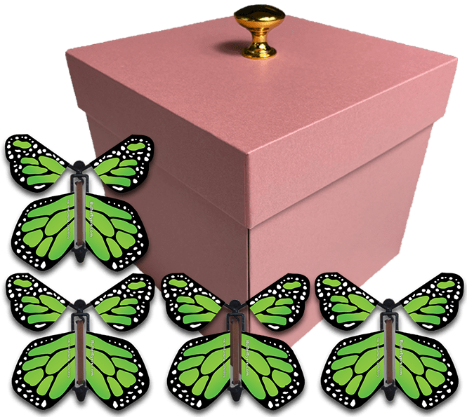 Pink Exploding Butterfly Gift Box With 4 Green Monarch Wind Up Flying Butterflies from butterflyers.com