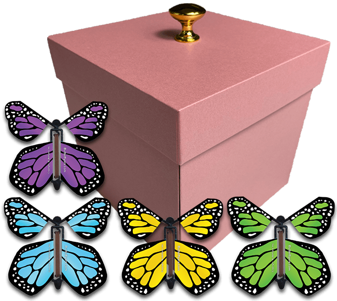 Pink Exploding Butterfly Gift Box With 4 Multi Color Monarch Wind Up Flying Butterflies from butterflyers.com