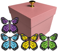 
              Pink Exploding Butterfly Gift Box With 4 Multi Color Monarch Wind Up Flying Butterflies from butterflyers.com
            