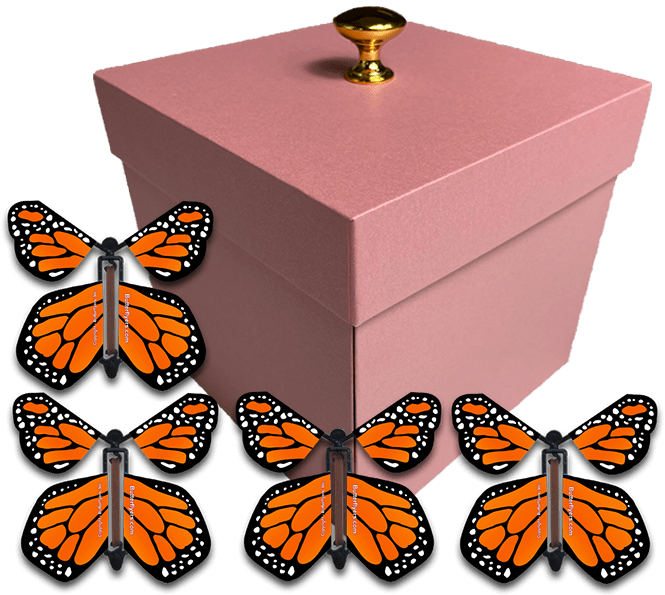 Pink Exploding Butterfly Gift Box With 4 Orange Monarch Wind Up Flying Butterflies from butterflyers.com