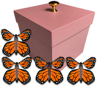 
              Pink Exploding Butterfly Gift Box With 4 Orange Monarch Wind Up Flying Butterflies from butterflyers.com
            