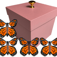 Pink Exploding Butterfly Gift Box With 4 Orange Monarch Wind Up Flying Butterflies from butterflyers.com