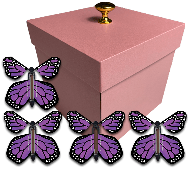 Pink Exploding Butterfly Gift Box With 4 Purple Monarch Wind Up Flying Butterflies from butterflyers.com