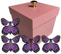 
              Pink Exploding Butterfly Gift Box With 4 Purple Monarch Wind Up Flying Butterflies from butterflyers.com
            