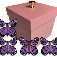 Pink Exploding Butterfly Gift Box With 4 Purple Monarch Wind Up Flying Butterflies from butterflyers.com