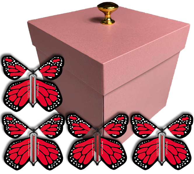 Pink Exploding Butterfly Gift Box With 4 Red Monarch Wind Up Flying Butterflies from butterflyers.com