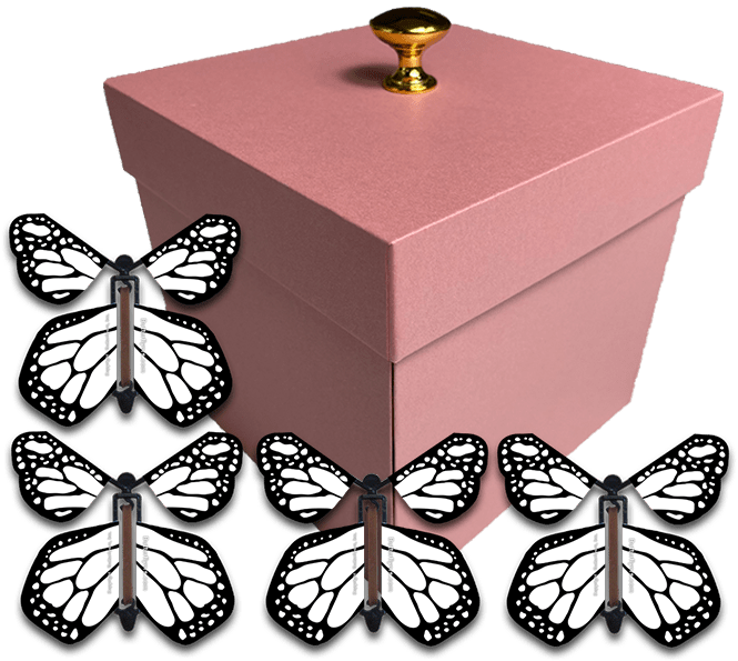 Pink Exploding Butterfly Gift Box With 4 White Monarch Wind Up Flying Butterflies from butterflyers.com