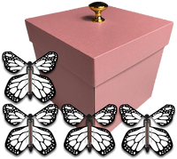 
              Pink Exploding Butterfly Gift Box With 4 White Monarch Wind Up Flying Butterflies from butterflyers.com
            