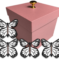 Pink Exploding Butterfly Gift Box With 4 White Monarch Wind Up Flying Butterflies from butterflyers.com