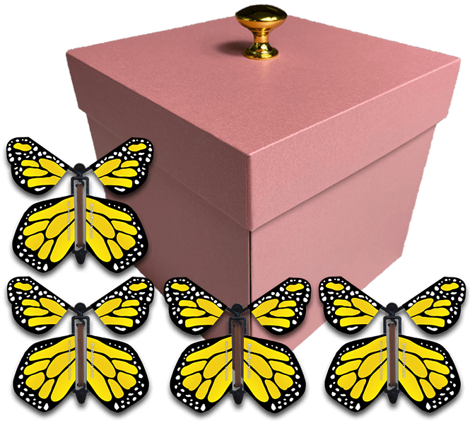 Pink Exploding Butterfly Gift Box With 4 Yellow Monarch Wind Up Flying Butterflies from butterflyers.com