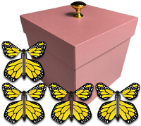 
              Pink Exploding Butterfly Gift Box With 4 Yellow Monarch Wind Up Flying Butterflies from butterflyers.com
            