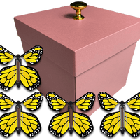 Pink Exploding Butterfly Gift Box With 4 Yellow Monarch Wind Up Flying Butterflies from butterflyers.com