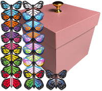 
              Pink Exploding Butterfly Gift Box With 4 Wind Up Flying Monarch Butterflies from butterflyers.com
            