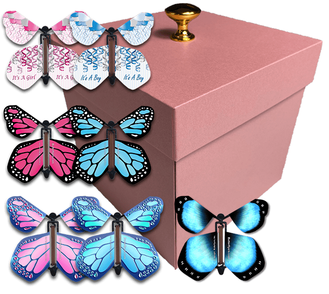 Pink Exploding Butterfly Box With Gender Reveal Flying Butterflies From Butterflyers.com