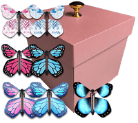 
              Pink Exploding Butterfly Box With Gender Reveal Flying Butterflies From Butterflyers.com
            