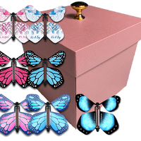 Pink Exploding Butterfly Box With Gender Reveal Flying Butterflies From Butterflyers.com