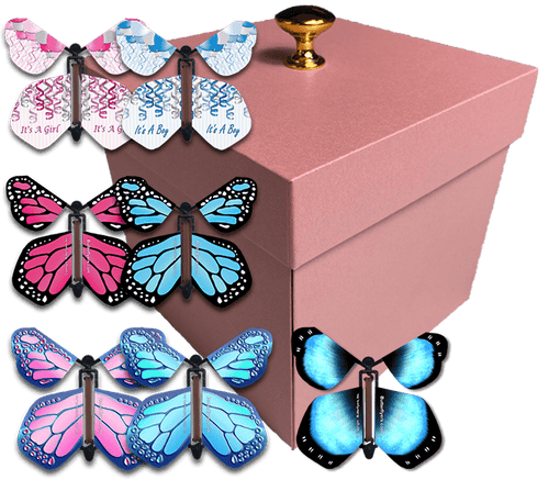 Pink Exploding Butterfly Box With Gender Reveal Flying Butterflies From Butterflyers.com