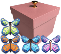 
              Pink Exploding Butterfly Gift Box With 4 Multi Cobalt Color Wind Up Flying Butterflies from butterflyers.com
            