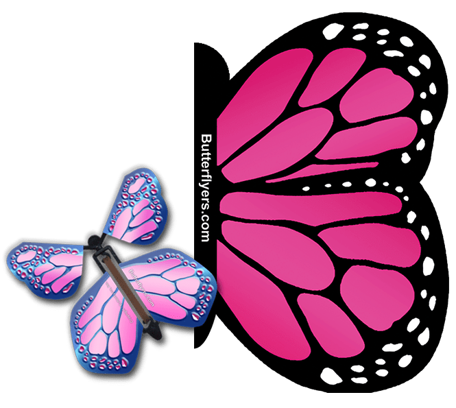 Pink Monarch Exploding Butterfly Card with Cobalt Pink Monarch wind up flying butterfly from butterflyers.com