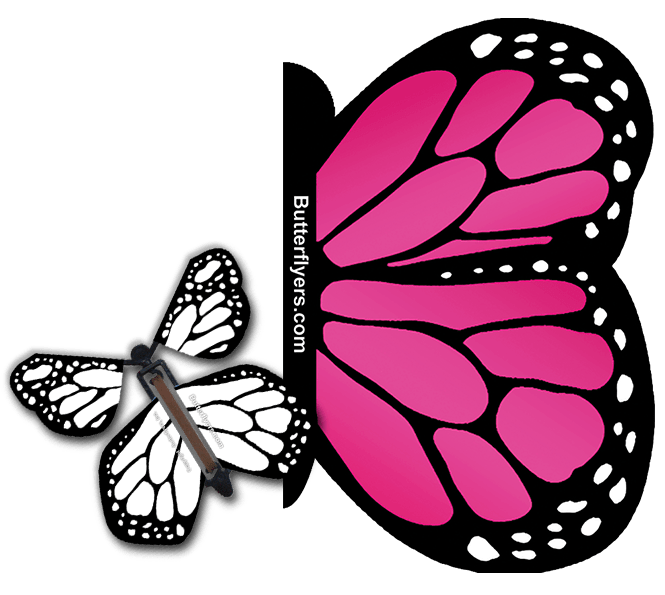 Pink Monarch Exploding Butterfly Card with White Monarch wind up flying butterfly from butterflyers.com