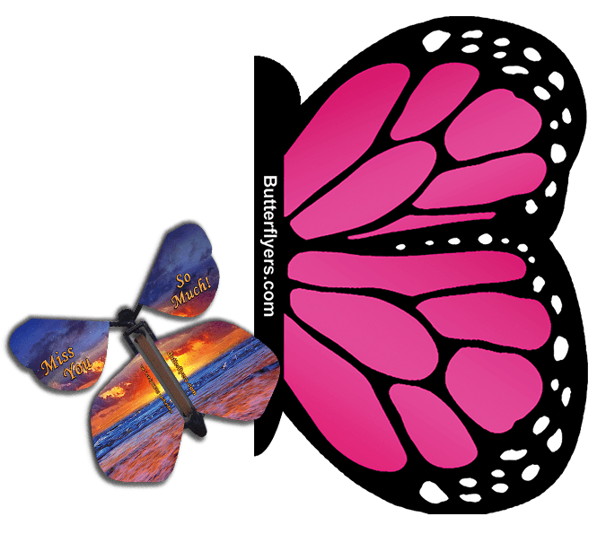 Pink Monarch Exploding Butterfly Card with Miss You Much wind up flying butterfly from butterflyers.com