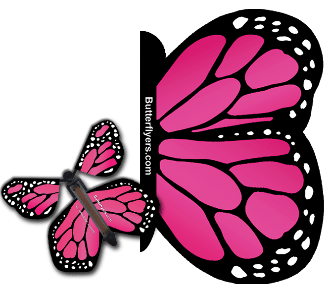 Pink Monarch Exploding Butterfly Card with Pink Monarch wind up flying butterfly from butterflyers.com