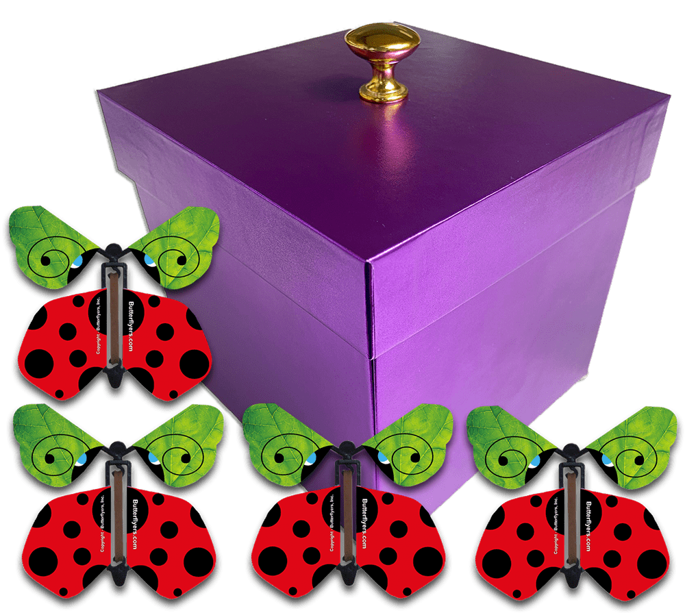 Purple Easter Exploding Butterfly Box With Wind Up Flying Butterflies ...