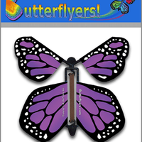 Purple Monarch Wind Up Flying Butterfly For Greeting Cards by Butterflyers.com