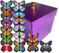 
              Purple Exploding Butterfly Gift Box With 4 Wind Up Flying Monarch Butterflies from butterflyers.com
            