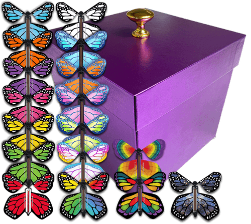 Purple Exploding Butterfly Gift Box With 4 Wind Up Flying Monarch Butterflies from butterflyers.com