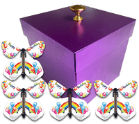 
              Purple Exploding Butterfly Birthday Box With 4 Birthday Rainbows Wind Up Flying Butterflies from butterflyers.com
            