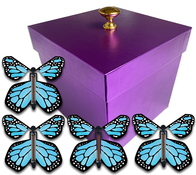 Purple Gender Reveal Exploding Box With Blue Monarch Flying Butterflies From Butterflyers.com