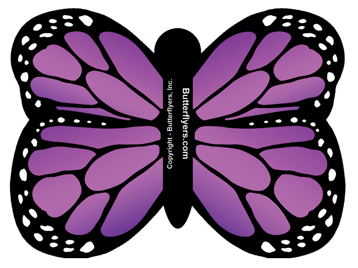 Purple Exploding Flying Butterfly Card (Card Only)