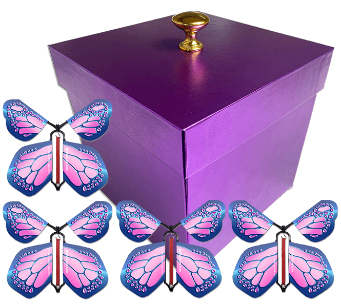 Fly Gift Box Surprise Flying Butterfly Gift Boxes – Butterflyers