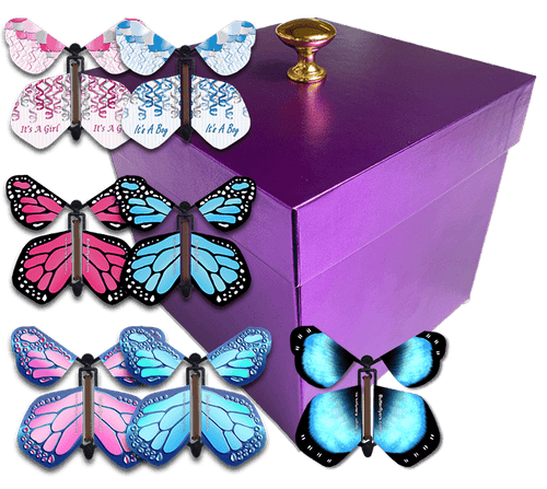 Purple Gender Reveal Exploding Box With Flying Butterflies From Butterflyers.com