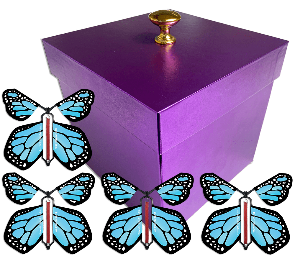 Purple Exploding Butterfly Gift Box With 4 Blue Monarch Wind Up Flying Butterflies from butterflyers.com