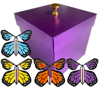 
              Purple Exploding Butterfly Gift Box With 4 Multi Color Monarch Wind Up Flying Butterflies from butterflyers.com
            