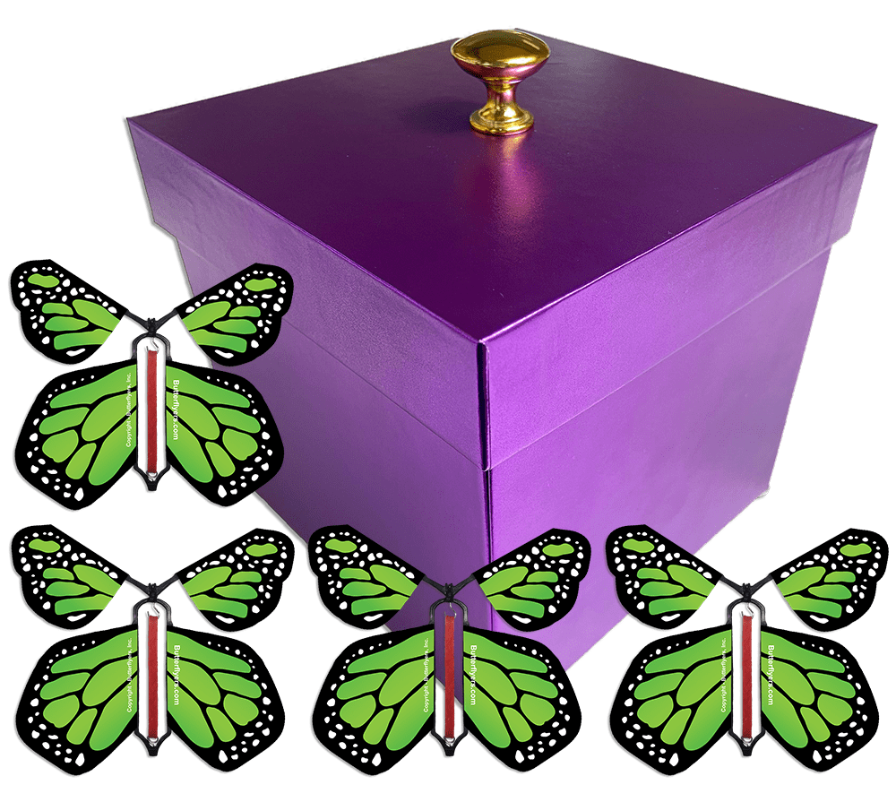 Purple Exploding Butterfly Gift Box With 4 Green Monarch Wind Up Flying Butterflies from butterflyers.com