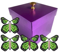 
              Purple Exploding Butterfly Gift Box With 4 Green Monarch Wind Up Flying Butterflies from butterflyers.com
            