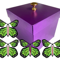 Purple Exploding Butterfly Gift Box With 4 Green Monarch Wind Up Flying Butterflies from butterflyers.com
