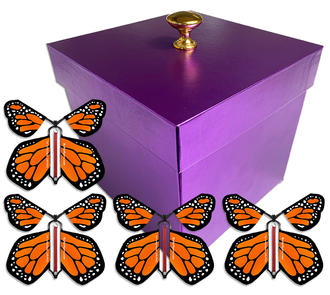 Purple Exploding Butterfly Gift Box With 4 Orange Monarch Wind Up Flying Butterflies from butterflyers.com