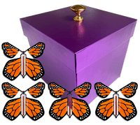 
              Purple Exploding Butterfly Gift Box With 4 Orange Monarch Wind Up Flying Butterflies from butterflyers.com
            