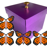 Purple Exploding Butterfly Gift Box With 4 Orange Monarch Wind Up Flying Butterflies from butterflyers.com