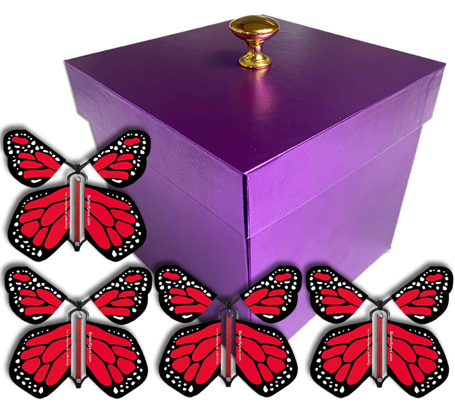 Purple Exploding Butterfly Gift Box With 4 Red Monarch Wind Up Flying Butterflies from butterflyers.com